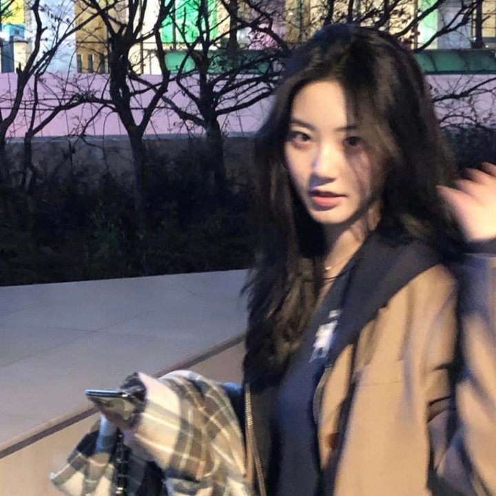 方案